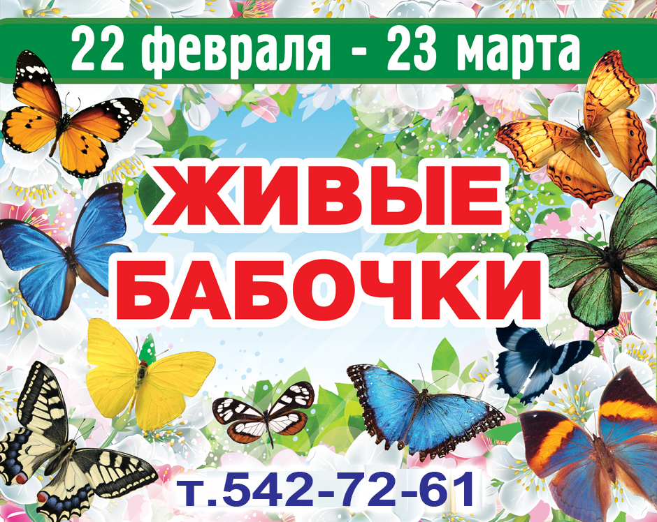 "Живые бабочки" в ДК им Гагарина - 22 февраля - 23 марта