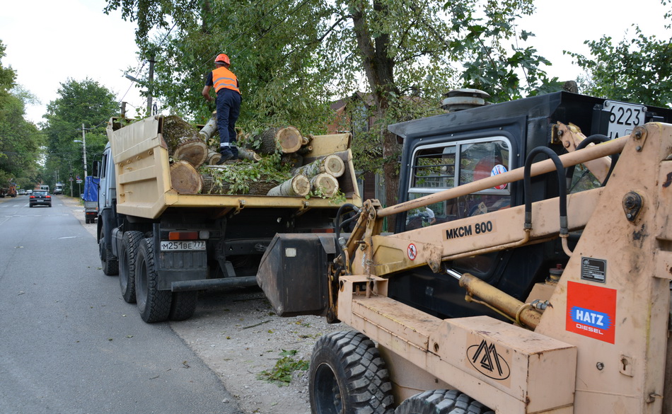 В Сергиевом Посаде спилят почти полтысячи аварийных деревьев