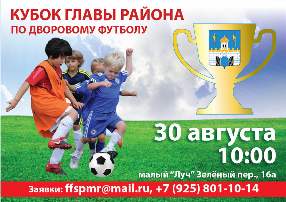 30 августа состоится Кубок главы Сергиево-Посадского района по дворовому футболу