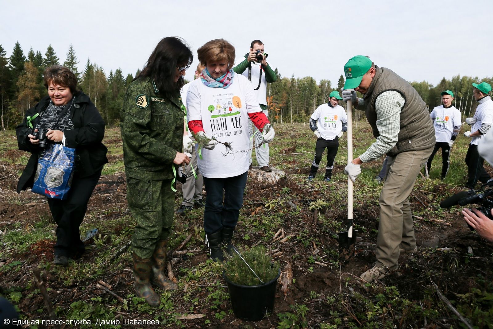 В областной акции «Наш лес. Посади свое дерево» в Сергиево-Посадском районе приняли участие порядка пяти тысяч человек